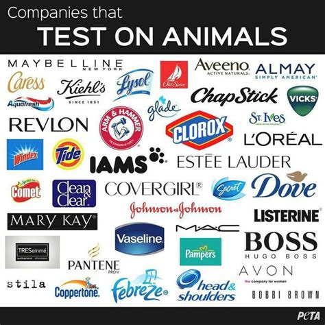 does listerine test on animals|Our Commitment to Animal Welfare .